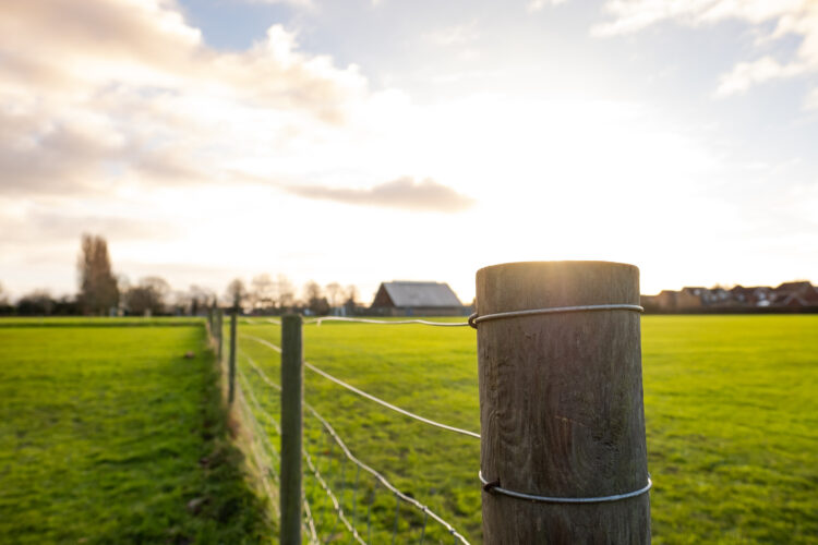 Repairing A Fence Post